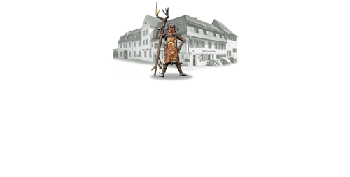 Hotel Wilder Mann - Aschaffenburg